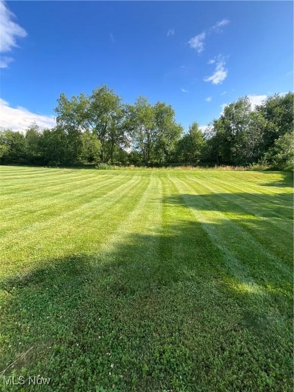 1245 Sageberry Dr, North Lima, OH 44452 - view of grassy yard