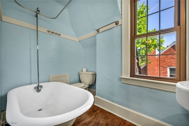 bathroom featuring baseboards, plenty of natural light, a soaking tub, and wood finished floors