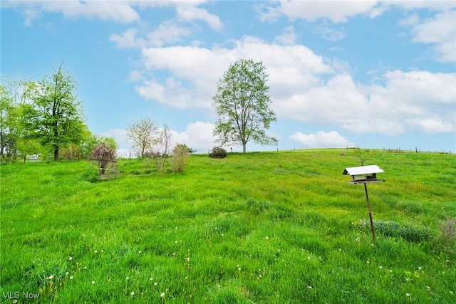 9493 State Route 9, Hanoverton, OH 44423 - view of yard with a view of rural / pastoral area