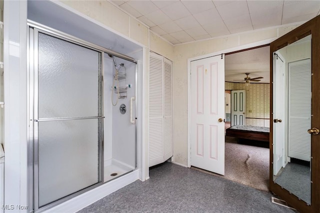 9493 State Route 9, Hanoverton, OH 44423 - full bathroom featuring carpet floors, a closet, a stall shower, and ceiling fan