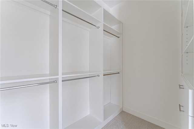 view of spacious closet