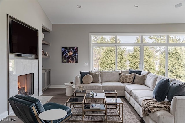 living room featuring baseboards, wood finished floors, and a premium fireplace