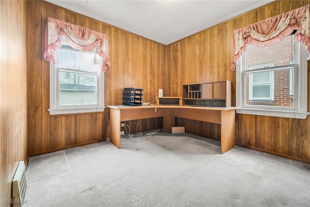 4194 W 140th St, Cleveland, OH 44135 - carpeted office featuring wood walls