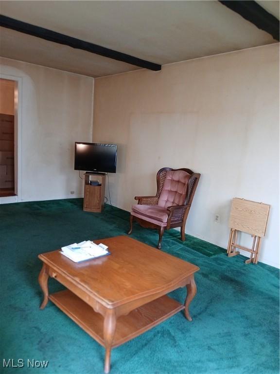 3609 Stoer Rd, Shaker Heights, OH 44122 - view of carpeted living area