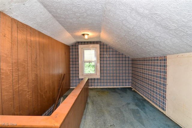 1255 Gorge Blvd, Akron, OH 44310 - additional living space featuring lofted ceiling, a textured ceiling, and carpet flooring