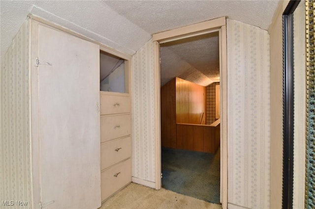 1255 Gorge Blvd, Akron, OH 44310 - hall featuring carpet flooring, a textured ceiling, and wallpapered walls