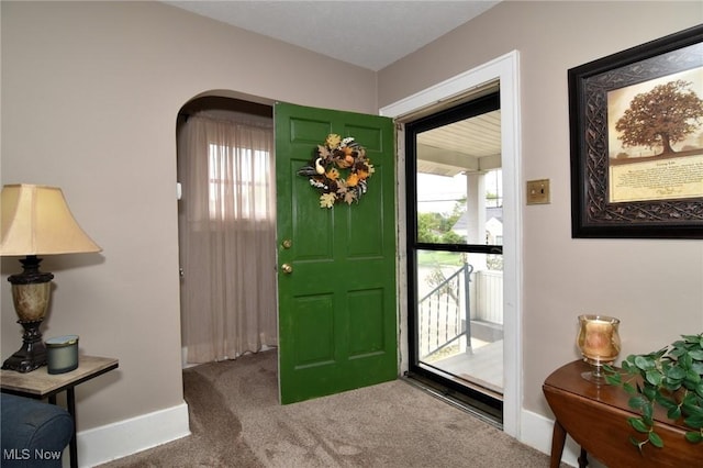 1255 Gorge Blvd, Akron, OH 44310 - entrance foyer with carpet and baseboards