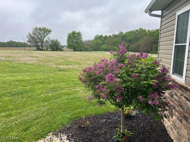 4718 Brushwood Rd, Wakeman, OH 44889 - view of green lawn