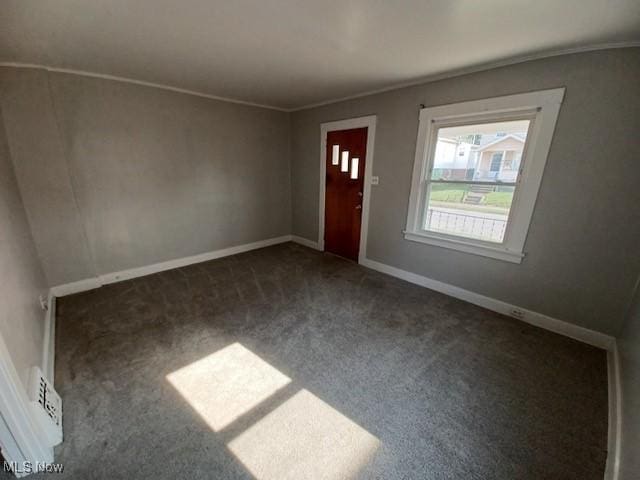 438 Elberen St, Youngstown, OH 44509 - entrance foyer featuring carpet floors, baseboards, and ornamental molding