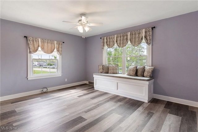 315 W Main St, Canfield, OH 44406 - spare room with plenty of natural light, ceiling fan, light wood-style floors, and baseboards