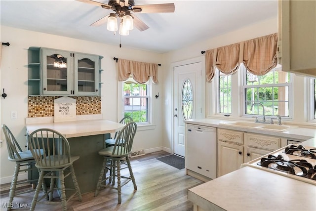 315 W Main St, Canfield, OH 44406 - kitchen with dishwasher, a sink, plenty of natural light, and light wood-style flooring