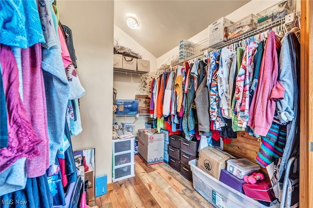 15180 Stoltz Rd, Diamond, OH 44412 - spacious closet featuring wood finished floors and lofted ceiling