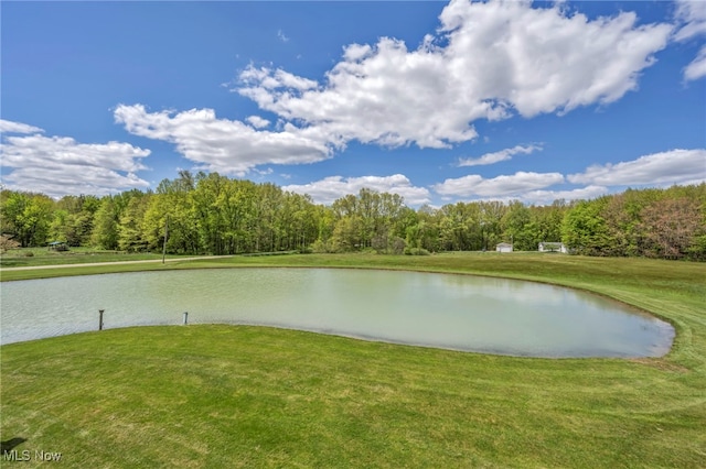 water view featuring a forest