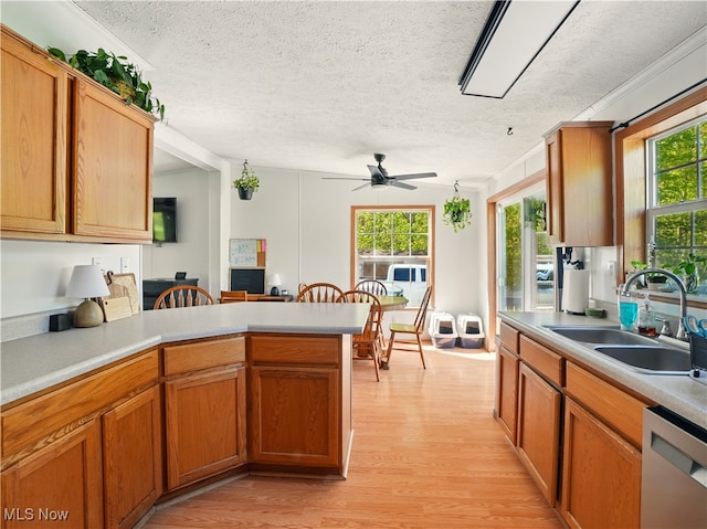 kitchen featuring a sink, stainless steel dishwasher, ceiling fan, light wood finished floors, and a textured ceiling