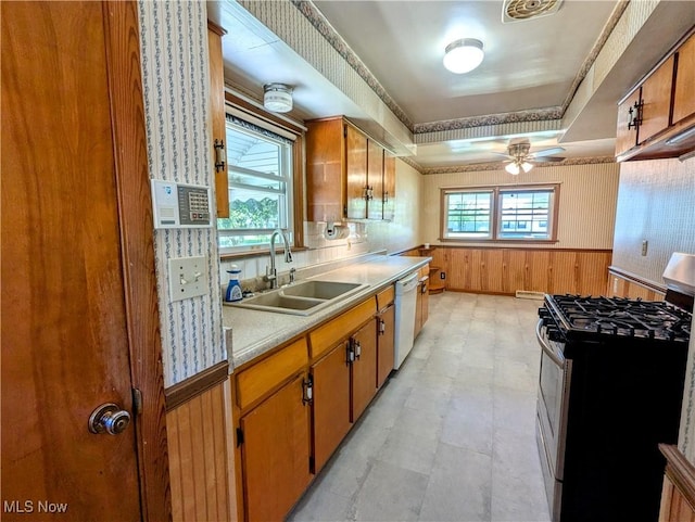 316 S Inglewood Ave, Austintown, OH 44515 - kitchen with stainless steel gas stove, a sink, dishwasher, wainscoting, and light countertops
