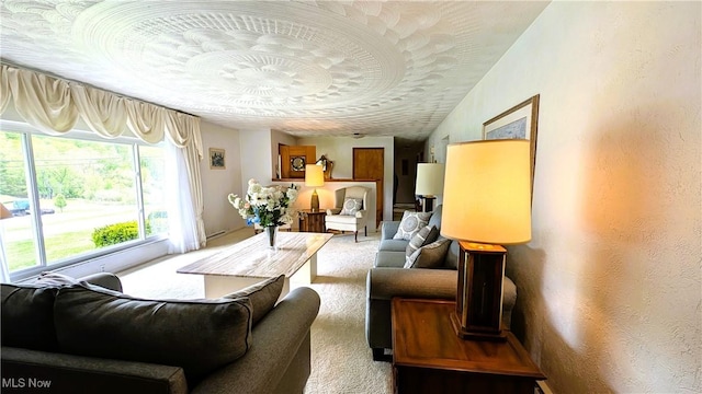 6291 Veterans Blvd, Chester, WV 26034 - view of carpeted living room
