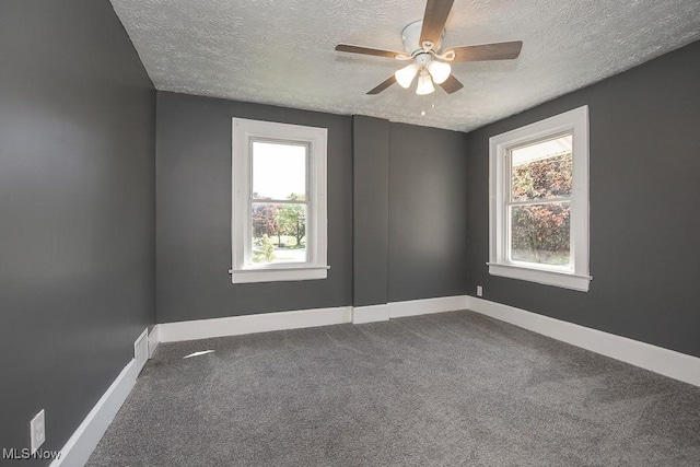 1063 Packard Dr, Akron, OH 44320 - photo 29