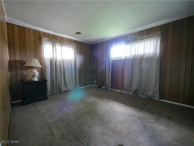 111 Pine Ln, Barnesville, OH 43713 - carpeted spare room featuring plenty of natural light and wood walls