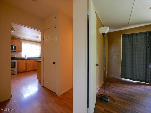 111 Pine Ln, Barnesville, OH 43713 - hallway featuring wood finished floors
