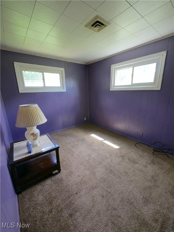 111 Pine Ln, Barnesville, OH 43713 - unfurnished room with carpet flooring