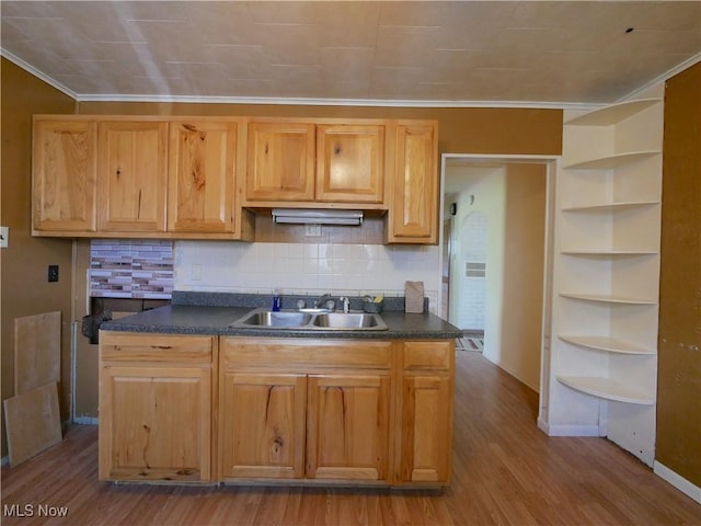 111 Pine Ln, Barnesville, OH 43713 - kitchen featuring open shelves, a sink, dark countertops, backsplash, and wood finished floors