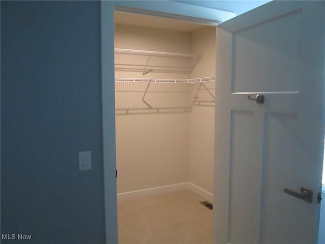 view of spacious closet