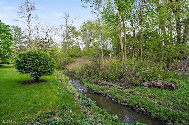 285 N Rd NE, Howland, OH 44484 - photo 48