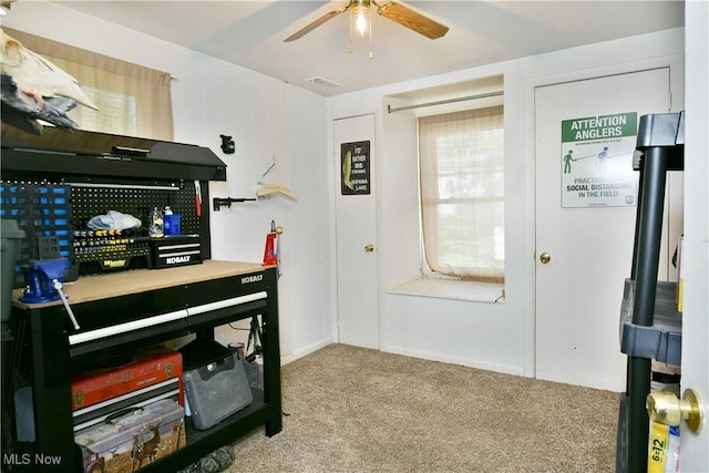 3122 Mccleary Jacoby Rd, Cortland, OH 44410 - carpeted office featuring ceiling fan