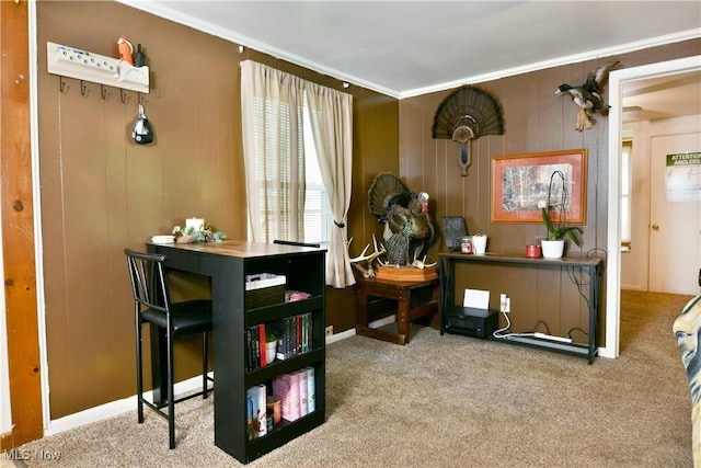 3122 Mccleary Jacoby Rd, Cortland, OH 44410 - sitting room with carpet and ornamental molding