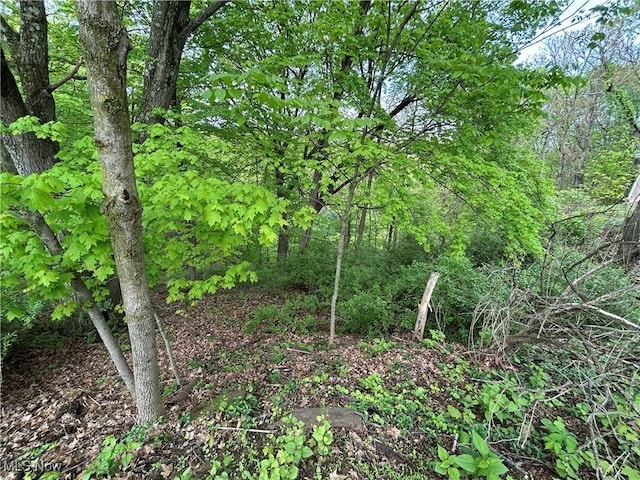 385 Truax Ln, Weirton, WV 26062 - view of wooded area