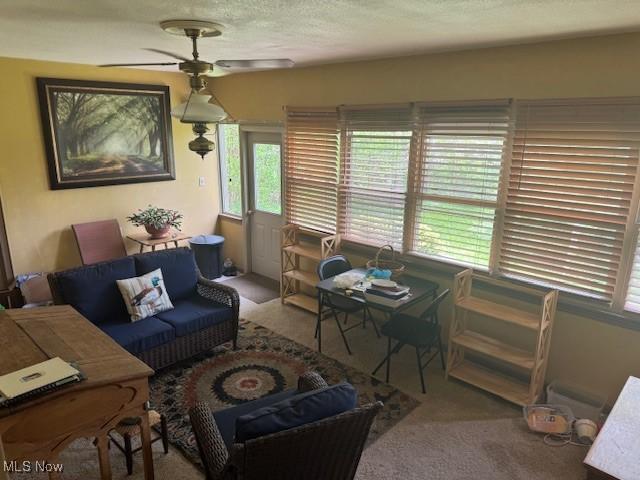 2284 Venloe Dr, Poland, OH 44514 - photo 10
