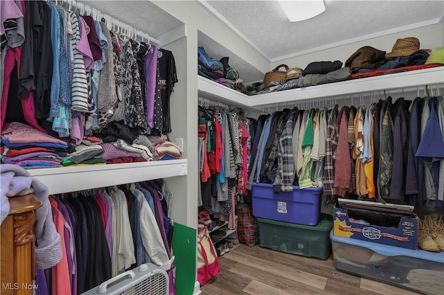 1060 S Watkins Rd, Alexandria, OH 43001 - spacious closet with wood finished floors