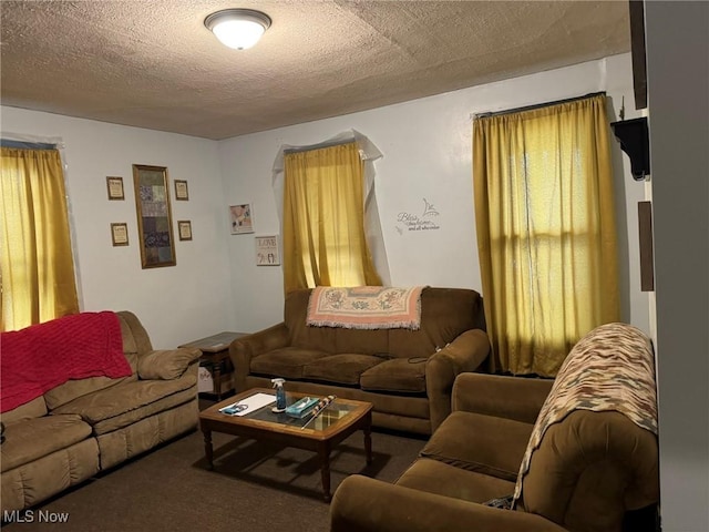 871 Chestnut St, Coshocton, OH 43812 - carpeted living area featuring a textured ceiling