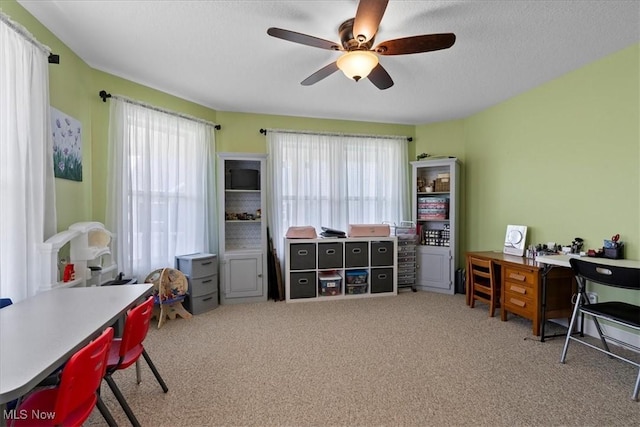 1 Stern Dr, Williamstown, WV 26187 - photo 19