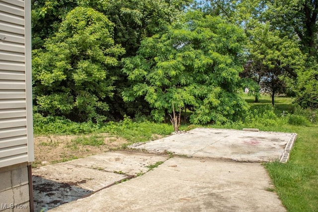 2208 Cherry Hill Ave, Youngstown, OH 44509 - photo 26