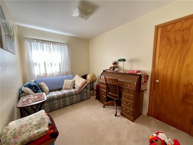 view of carpeted home office
