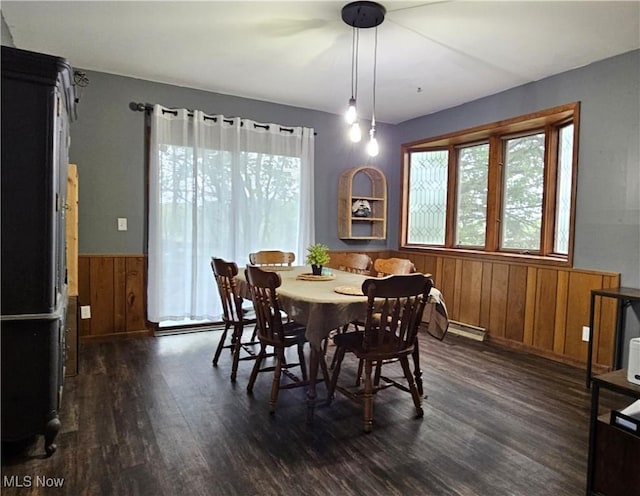 164 W High St, New Concord, OH 43762 - dining space featuring healthy amount of natural light, dark wood finished floors, wooden walls, wainscoting, and a baseboard heating unit