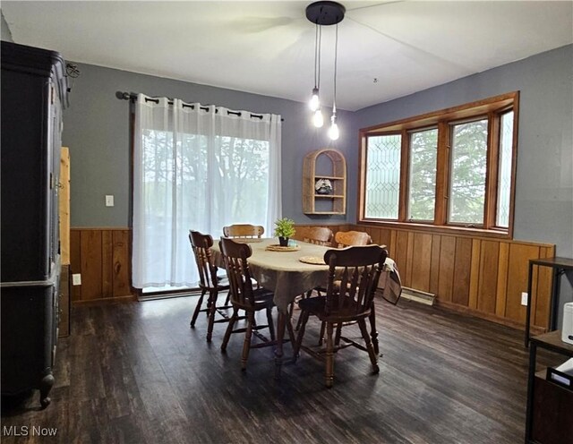 164 W High St, New Concord, OH 43762 - dining space featuring plenty of natural light, dark wood-type flooring, wood walls, and a wainscoted wall