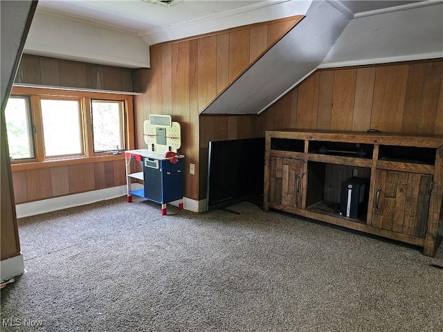 164 W High St, New Concord, OH 43762 - bonus room featuring carpet floors, lofted ceiling, and wood walls
