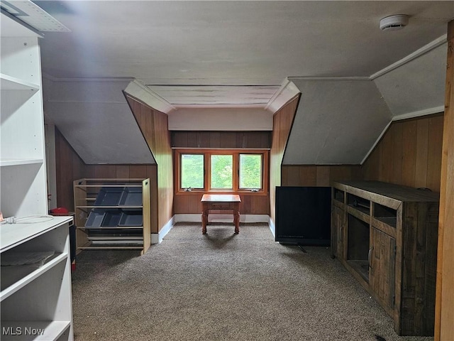 164 W High St, New Concord, OH 43762 - living area featuring wood walls, carpet, and lofted ceiling