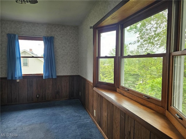 164 W High St, New Concord, OH 43762 - carpeted empty room with wallpapered walls, wainscoting, healthy amount of natural light, and wooden walls