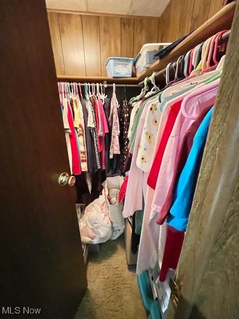 38722 State Route 518th Rd, Lisbon, OH 44432 - spacious closet featuring carpet flooring