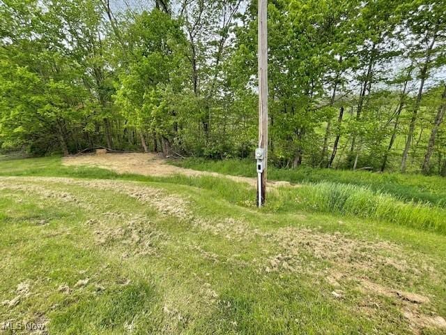 38722 State Route 518th Rd, Lisbon, OH 44432 - view of undeveloped land