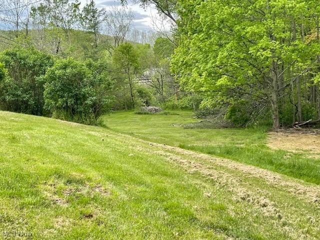 38722 State Route 518th Rd, Lisbon, OH 44432 - view of grassy yard with a wooded view