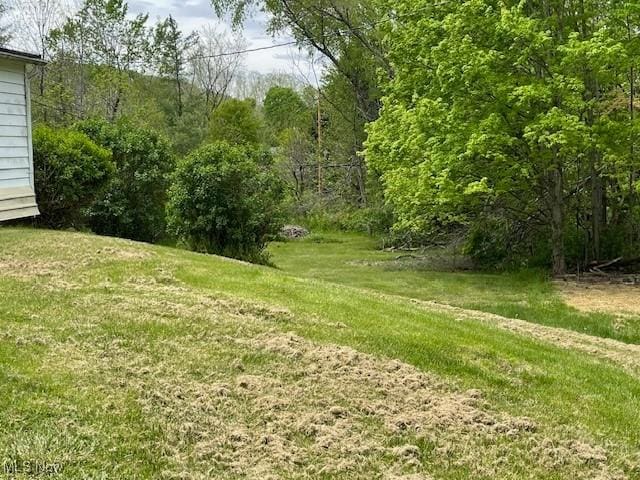 38722 State Route 518th Rd, Lisbon, OH 44432 - view of green lawn with a view of trees