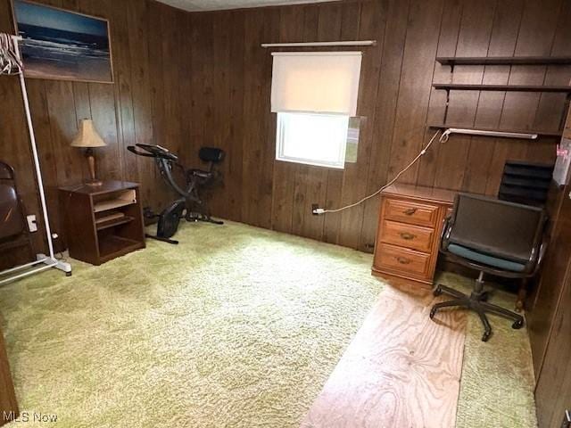 38722 State Route 518th Rd, Lisbon, OH 44432 - office space with wood walls and carpet
