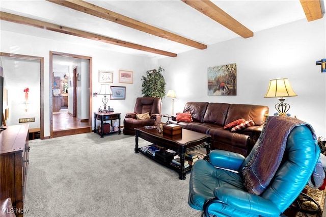 359 Boyce Dr, Chester, WV 26034 - living room with carpet floors and beamed ceiling
