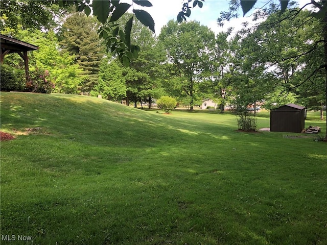 359 Boyce Dr, Chester, WV 26034 - view of grassy yard with a shed, an outbuilding, and view of wooded area