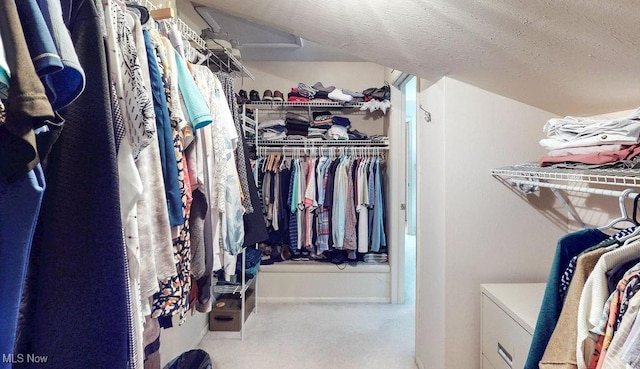 spacious closet with carpet