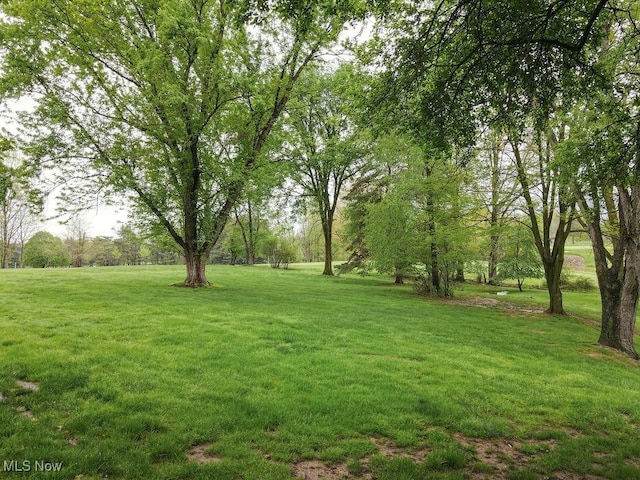 view of green lawn